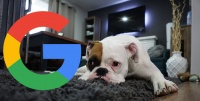 Google: наши алгоритмы работают без устали