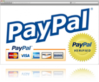 PayPal планирует зарегистрировать небанковскую организацию на территории России