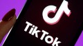 Сколько видео удаляет TikTok?