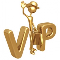 Все хотят стать ВИПами: домен .VIP покорил рынок Китая