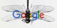 В Google бунт из-за создания поисковика для Китая