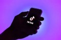 Сколько заработал TikTok на российском рынке в прошлом году?