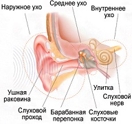 Разработана костная акустическая система для iPhone