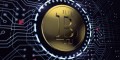 Количество запросов к Google на тему биткоина увеличилось на 450%
