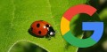 Google о ссылках на или с небольших сайтов