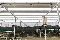 В тени солнечных панелей будут выращиваться грибы шиитаке