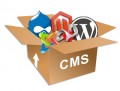 Названы самые популярные CMS Рунета