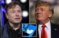 Твиттер реабилитирует Трампа?