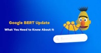 Сколько запросов затрагивает Google BERT?