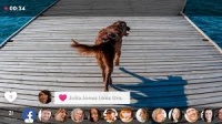 Livelens: Посмотрите, как я живу Livelens: Посмотрите, как я живу