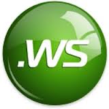 .WS Логотип зоны