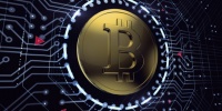 Количество запросов к Google на тему биткоина увеличилось на 450%