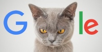 Google: мы не злопамятны!