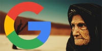 Опрос: важен ли возраст домена для SEO?