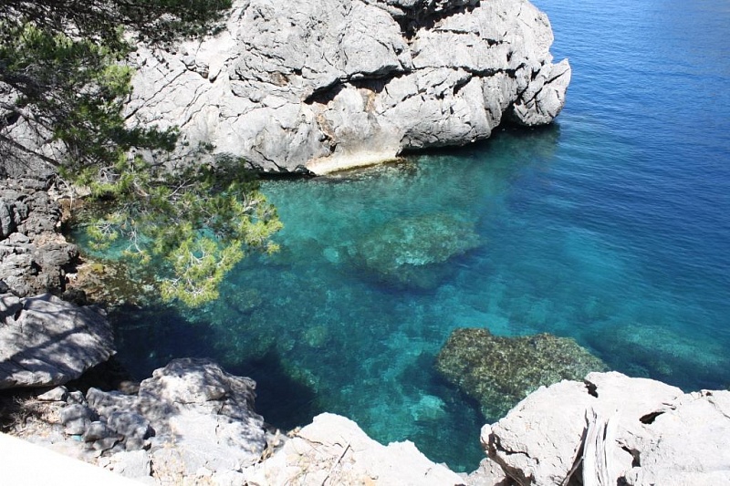 лагуна